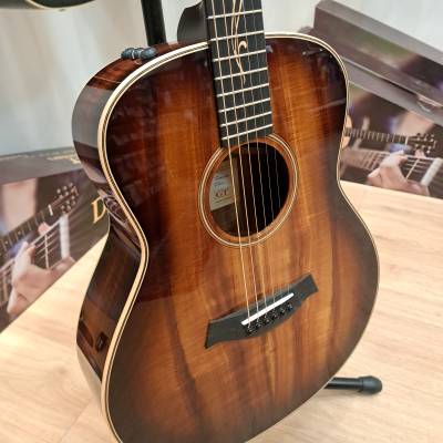 Store Special Product - Taylor GT K21E